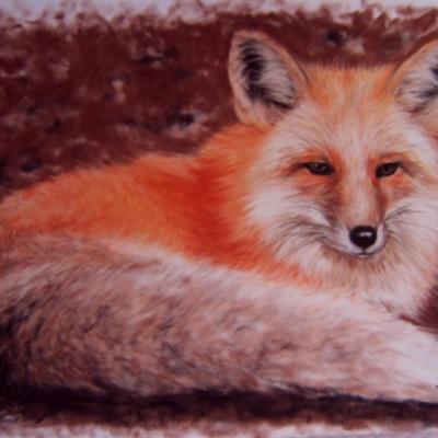 Renard