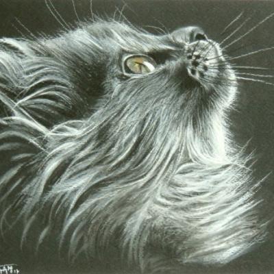 Penseur