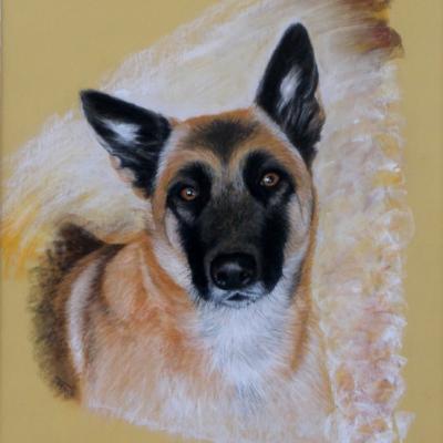 la chienne de Céline