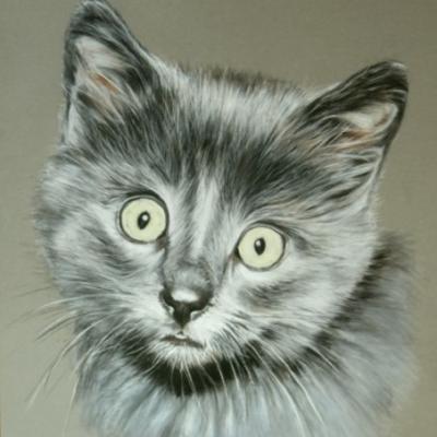 Petitgris
