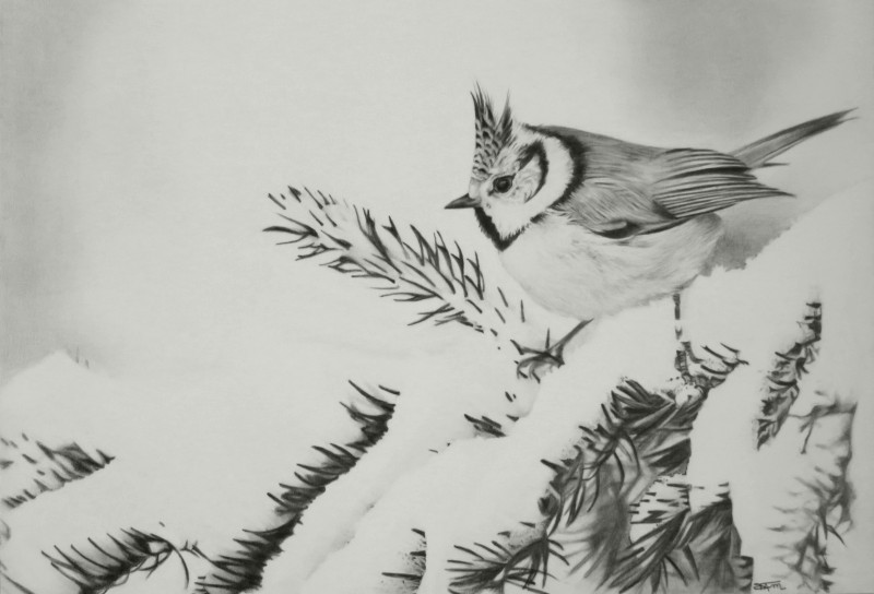 Huppée