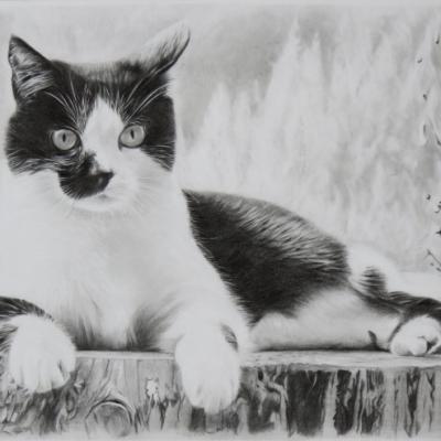 Miss Poupette