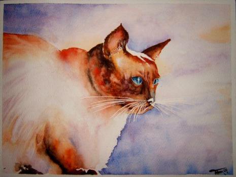 Aqussime 2