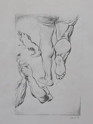 Img 2600