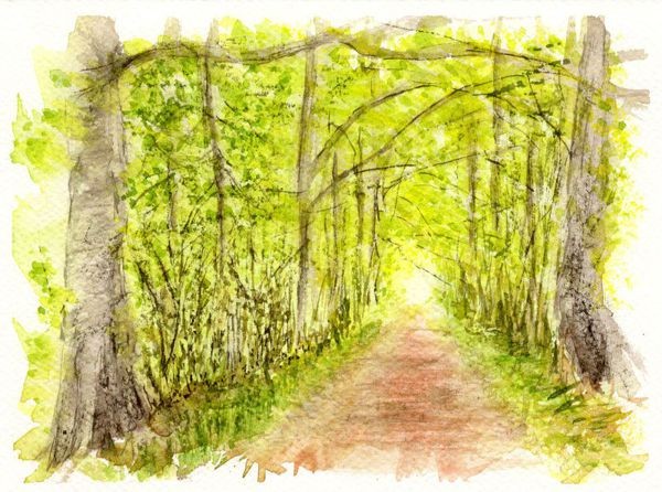 En forêt