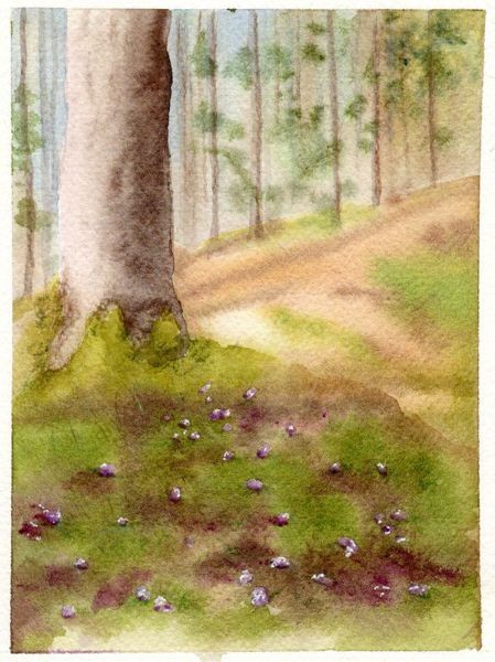Sous-bois